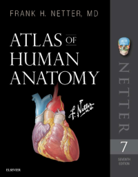 Image of Atlas of human anatomy