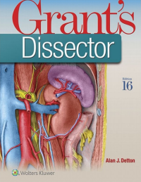 Image of Grant’s dissector
