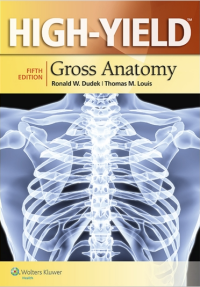Image of High-yield gross anatomy