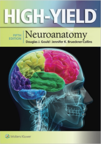 Image of High-Yield neuroanatomy