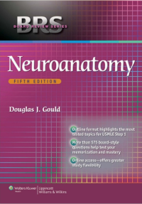 Image of Neuroanatomy