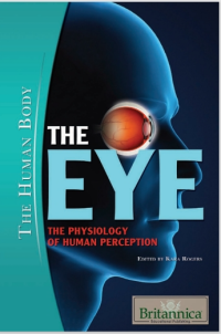 Image of The eye : the physiology of human perception